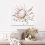 Shop King Protea II (Square) Photo Canvas Art Print-Florals, Hamptons, Photography Canvas Prints, Pink, Square, View All-framed wall decor artwork