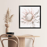 Shop King Protea II (Square) Photo Art Print-Florals, Hamptons, Photography, Pink, Square, View All-framed poster wall decor artwork