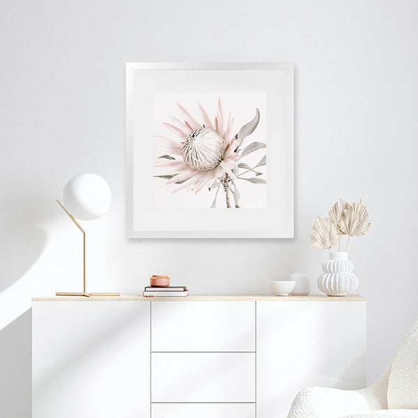 Shop King Protea II (Square) Photo Art Print-Florals, Hamptons, Photography, Pink, Square, View All-framed poster wall decor artwork