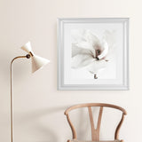 Shop White Magnolia (Square) Photo Art Print-Florals, Hamptons, Photography, Square, View All, White-framed poster wall decor artwork