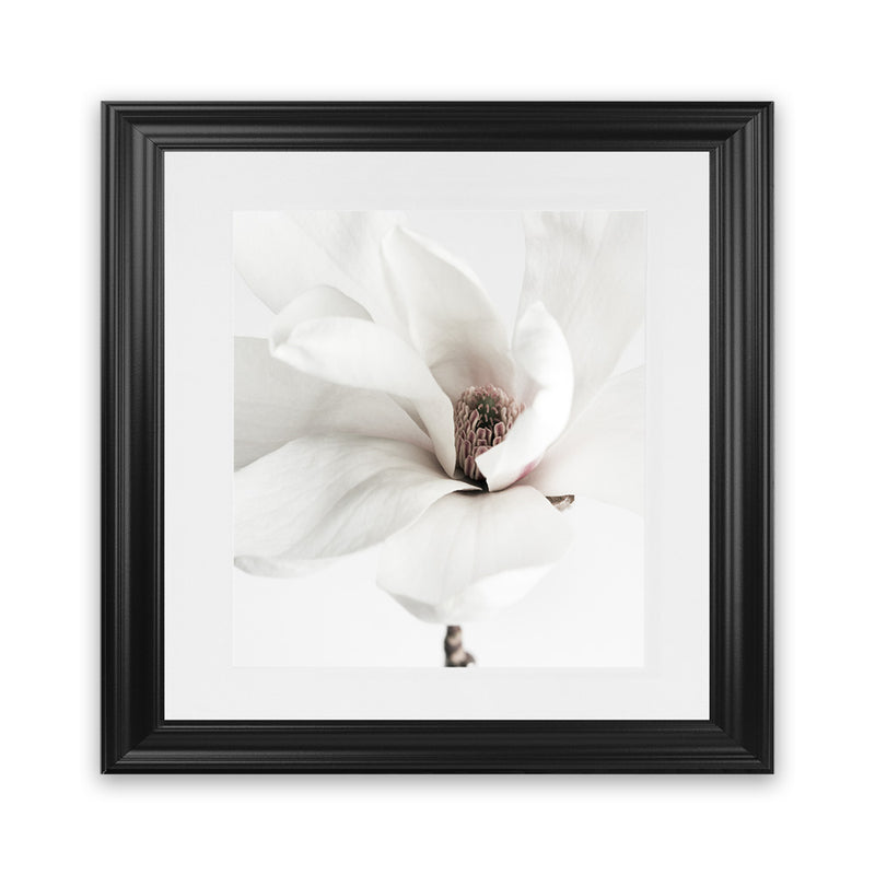 Shop White Magnolia (Square) Photo Art Print-Florals, Hamptons, Photography, Square, View All, White-framed poster wall decor artwork