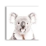 Shop Koala (Square) Photo Art Print-Animals, Baby Nursery, Grey, Photography, Square, View All, White-framed poster wall decor artwork