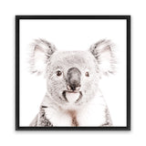 Shop Koala (Square) Photo Canvas Art Print-Animals, Baby Nursery, Grey, Photography Canvas Prints, Square, View All, White-framed wall decor artwork