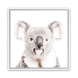 Shop Koala (Square) Photo Canvas Art Print-Animals, Baby Nursery, Grey, Photography Canvas Prints, Square, View All, White-framed wall decor artwork