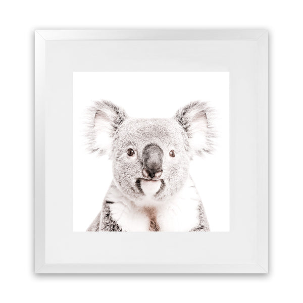 Shop Koala (Square) Photo Art Print-Animals, Baby Nursery, Grey, Photography, Square, View All, White-framed poster wall decor artwork