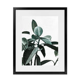 Shop Rubber Plant II Art Print-Botanicals, Green, Portrait, Rectangle, View All-framed painted poster wall decor artwork