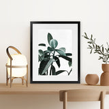 Shop Rubber Plant II Art Print-Botanicals, Green, Portrait, Rectangle, View All-framed painted poster wall decor artwork