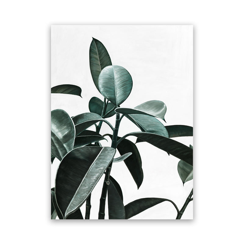Shop Rubber Plant II Canvas Art Print-Botanicals, Green, Portrait, Rectangle, View All-framed wall decor artwork