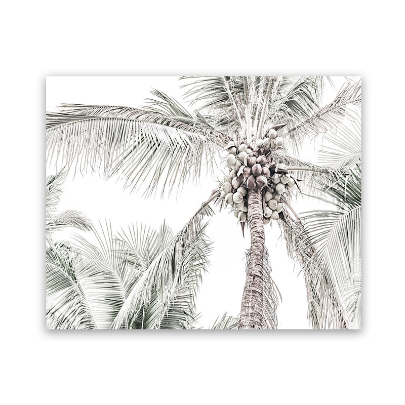 Shop Tropical Palms Photo Art Print-Green, Landscape, Photography, Tropical, View All-framed poster wall decor artwork