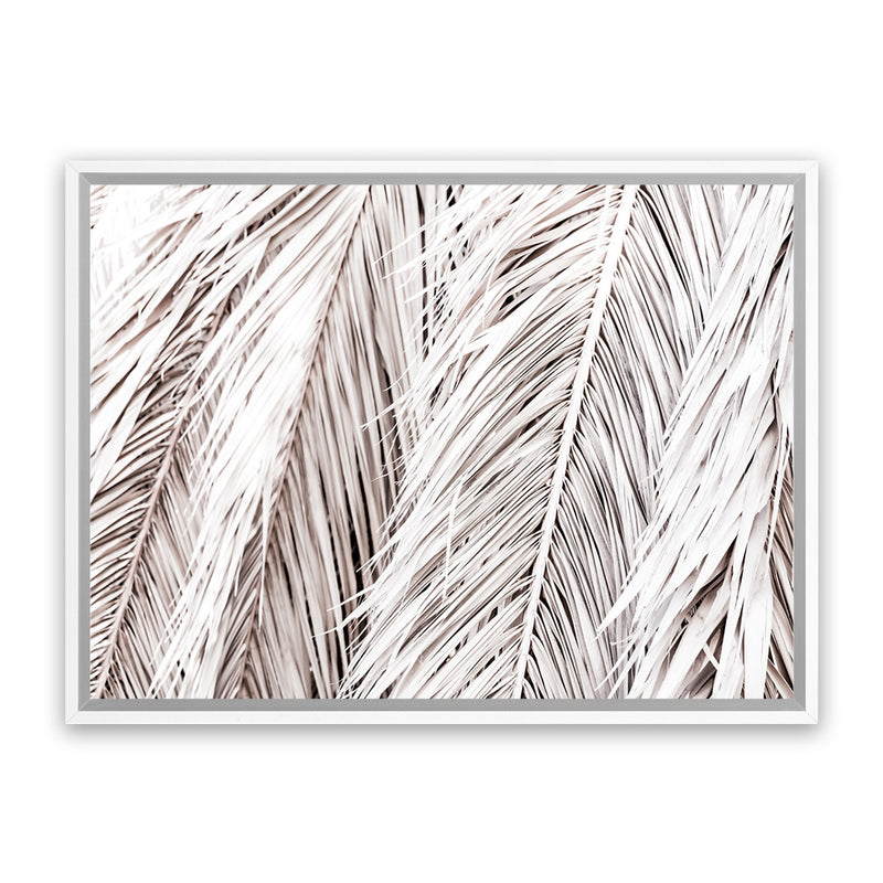 Shop Dried Palm Leaves Photo Canvas Print-Botanicals, Landscape, Neutrals, Photography Canvas Prints, Tropical, View All-framed wall decor artwork