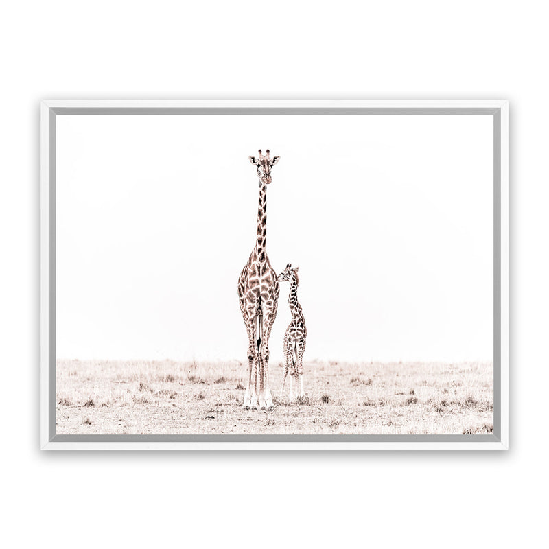 Shop Giraffes II Photo Canvas Print-Animals, Baby Nursery, Landscape, Neutrals, Photography Canvas Prints, View All, White-framed wall decor artwork