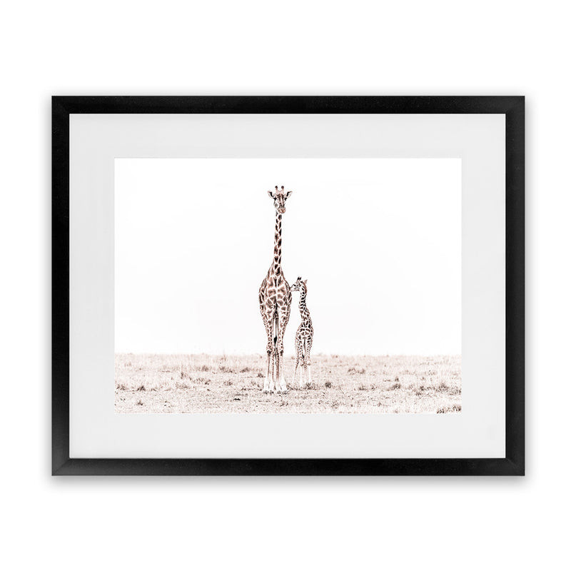 Shop Giraffes II Photo Art Print-Animals, Baby Nursery, Landscape, Neutrals, Photography, View All, White-framed poster wall decor artwork