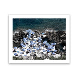 Shop La Fontelina II Photo Art Print-Blue, Coastal, Landscape, Photography, View All-framed poster wall decor artwork