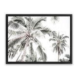 Shop Coconut Palms Photo Canvas Art Print-Boho, Botanicals, Coastal, Green, Landscape, Photography, Photography Canvas Prints, Tropical, View All, White-framed wall decor artwork