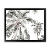 Shop Coconut Palms Photo Art Print-Boho, Botanicals, Coastal, Green, Landscape, Photography, Tropical, View All, White-framed poster wall decor artwork