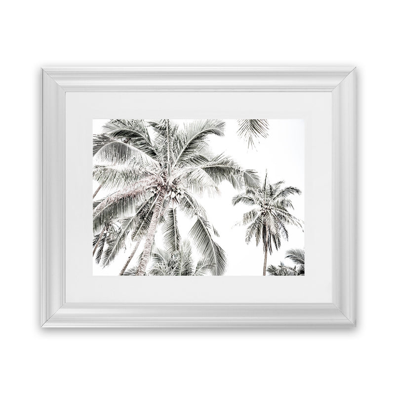 Shop Coconut Palms Photo Art Print-Boho, Botanicals, Coastal, Green, Landscape, Photography, Tropical, View All, White-framed poster wall decor artwork