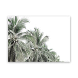 Shop Two Palms Photo Canvas Print-Green, Landscape, Photography Canvas Prints, Tropical, View All, White-framed wall decor artwork