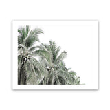 Shop Two Palms Photo Art Print-Green, Landscape, Photography, Tropical, View All, White-framed poster wall decor artwork