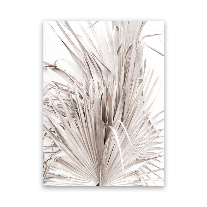 Shop Dried Palm Leaves III Photo Canvas Print-Botanicals, Neutrals, Photography Canvas Prints, Pink, Portrait, Tropical, View All-framed wall decor artwork