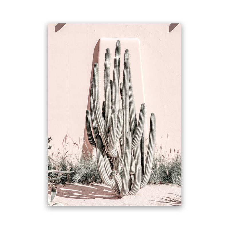 Shop Cacti Villa I Photo Canvas Art Print-Boho, Moroccan Days, Photography, Photography Canvas Prints, Pink, Portrait, Tropical, View All-framed wall decor artwork