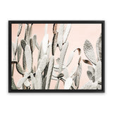 Shop Cacti Dreams Photo Canvas Art Print-Boho, Landscape, Moroccan Days, Neutrals, Photography, Photography Canvas Prints, Pink, Tropical, View All-framed wall decor artwork