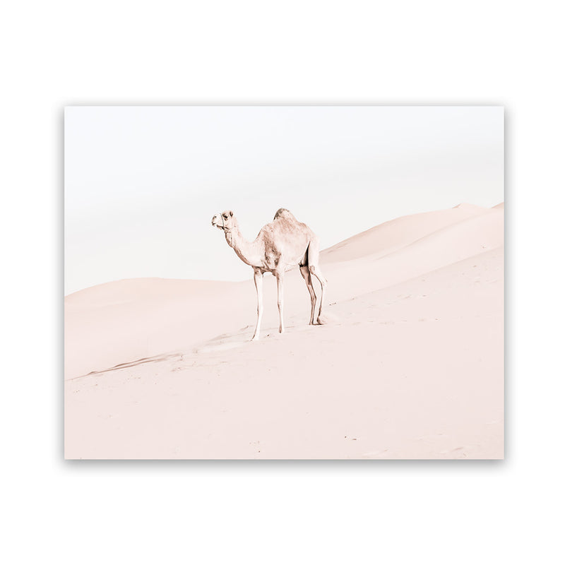 Shop Lone Camel Photo Art Print-Animals, Baby Nursery, Boho, Landscape, Moroccan Days, Neutrals, Photography, Pink, View All-framed poster wall decor artwork