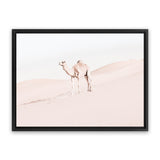 Shop Lone Camel Photo Canvas Art Print-Animals, Baby Nursery, Boho, Landscape, Moroccan Days, Neutrals, Photography, Photography Canvas Prints, Pink, View All-framed wall decor artwork