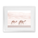 Shop Camel Highway Photo Art Print-Animals, Boho, Landscape, Moroccan Days, Neutrals, Photography, Pink, View All-framed poster wall decor artwork
