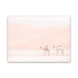 Shop Two Camels Photo Canvas Art Print-Animals, Boho, Landscape, Moroccan Days, Neutrals, Photography, Photography Canvas Prints, View All-framed wall decor artwork
