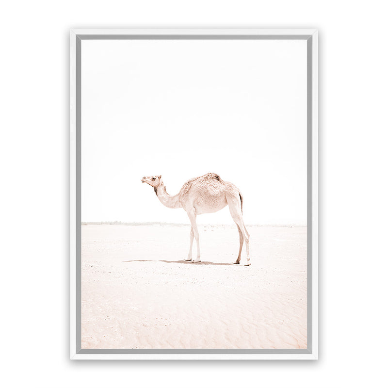 Shop Lone Camel III Photo Canvas Art Print-Animals, Baby Nursery, Boho, Moroccan Days, Photography, Photography Canvas Prints, Pink, Portrait, View All, White-framed wall decor artwork