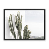 Shop Cactus Summer Photo Canvas Art Print-Boho, Botanicals, Green, Landscape, Moroccan Days, Photography, Photography Canvas Prints, Tropical, View All, White-framed wall decor artwork