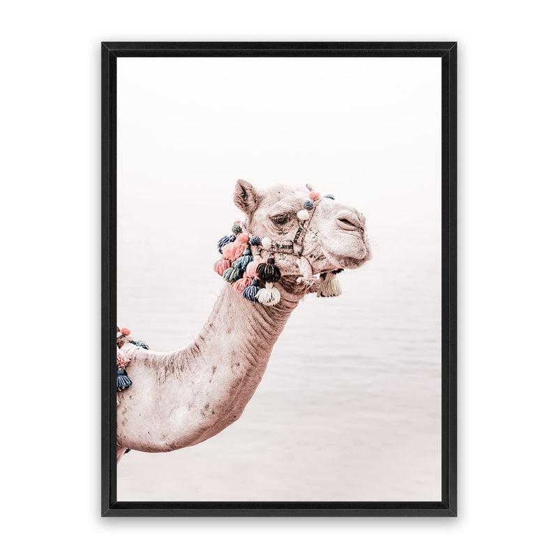 Shop Bedouin Camel II Photo Canvas Art Print-Animals, Baby Nursery, Boho, Moroccan Days, Photography, Photography Canvas Prints, Pink, Portrait, View All-framed wall decor artwork