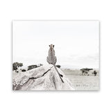 Shop Lookout Point Photo Art Print-African, Animals, Landscape, Neutrals, Photography, View All, White-framed poster wall decor artwork
