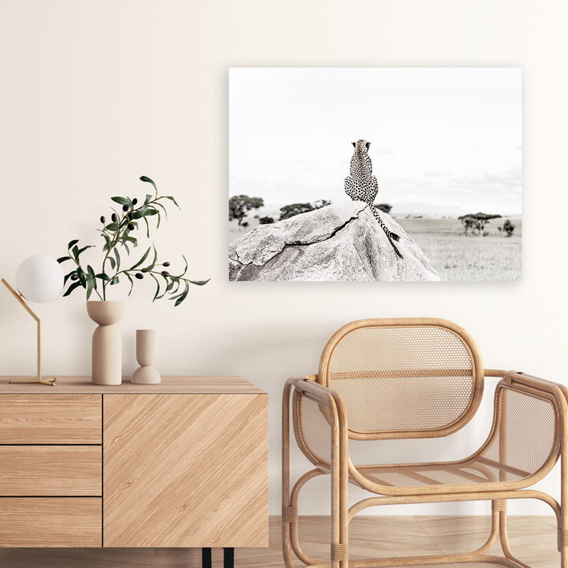 Shop Lookout Point Photo Canvas Print-African, Animals, Landscape, Neutrals, Photography, Photography Canvas Prints, View All, White-framed wall decor artwork