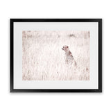 Shop Grazing Cheetah Photo Art Print-African, Animals, Landscape, Neutrals, Photography, Pink, View All-framed poster wall decor artwork