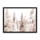 Shop Tall Pampas Grass Photo Canvas Art Print-Boho, Botanicals, Florals, Hamptons, Landscape, Neutrals, Photography, Photography Canvas Prints, View All-framed wall decor artwork