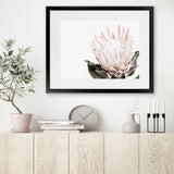 Shop Pink King Protea Flower II Photo Art Print-Botanicals, Florals, Hamptons, Landscape, Nature, Photography, Pink, View All, White-framed poster wall decor artwork