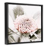 Shop Waratah Flowers III (Square) Photo Canvas Art Print-Florals, Hamptons, Photography, Photography Canvas Prints, Pink, Purple, Square, View All-framed wall decor artwork
