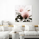 Shop Waratah Flowers (Square) Photo Canvas Art Print-Florals, Green, Hamptons, Photography, Photography Canvas Prints, Pink, Square, View All-framed wall decor artwork