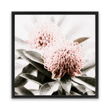 Shop Waratah Flowers (Square) Photo Canvas Art Print-Florals, Green, Hamptons, Photography, Photography Canvas Prints, Pink, Square, View All-framed wall decor artwork