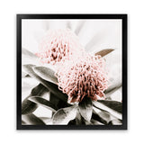 Shop Waratah Flowers (Square) Photo Art Print-Florals, Green, Hamptons, Photography, Pink, Square, View All-framed poster wall decor artwork