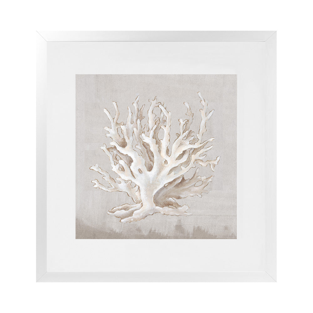 Buy Neutral Shells IV Square Wall Art Print | The Print Emporium®