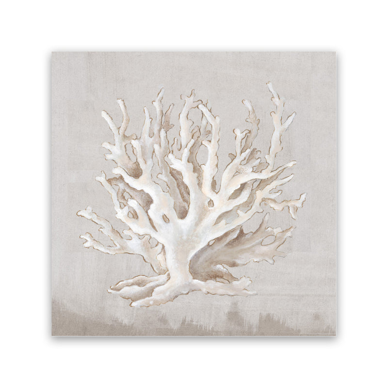 Shop Neutral Shells IV (Square) Canvas Art Print-Abstract, Neutrals, PC, Square, View All-framed wall decor artwork