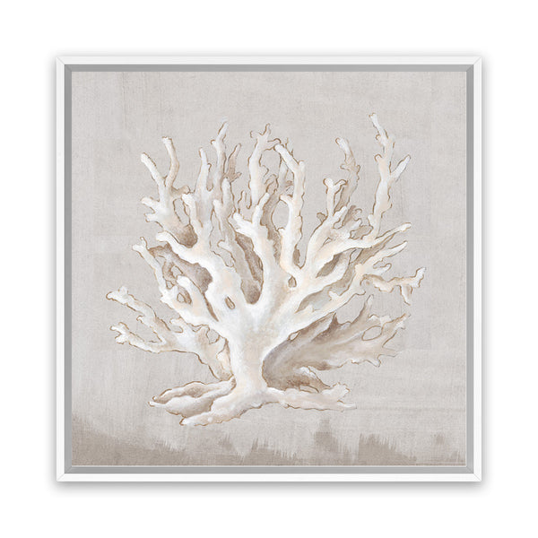 Shop Neutral Shells IV (Square) Canvas Art Print-Abstract, Neutrals, PC, Square, View All-framed wall decor artwork