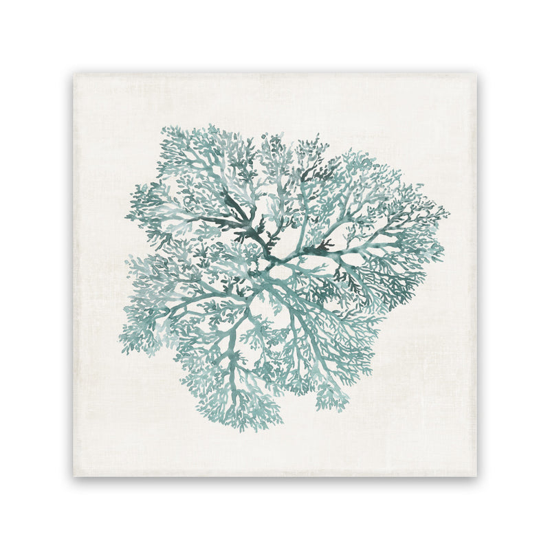 Shop Teal Coral I (Square) Canvas Art Print-Abstract, Green, PC, Square, View All-framed wall decor artwork