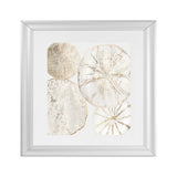 Shop Sea Patterns II (Square) Art Print-Abstract, Neutrals, PC, Square, View All-framed painted poster wall decor artwork