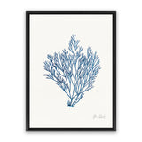 Shop Sea Garden II Royal Blue Canvas Art Print-Blue, Botanicals, Portrait, Rectangle, View All, WA, White-framed wall decor artwork