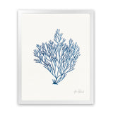 Shop Sea Garden II Royal Blue Art Print-Blue, Botanicals, Portrait, Rectangle, View All, WA, White-framed painted poster wall decor artwork