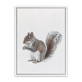 Shop Baby Squirrel Canvas Art Print-Animals, Baby Nursery, Grey, Portrait, View All-framed wall decor artwork