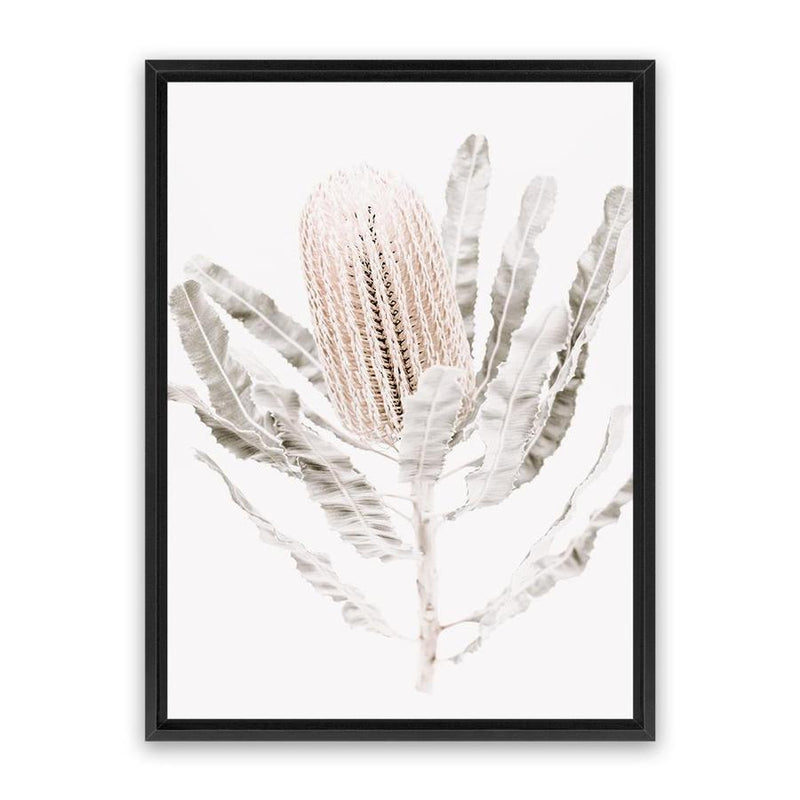 Shop Banksia III Photo Canvas Art Print-Botanicals, Florals, Hamptons, Nature, Neutrals, Photography, Photography Canvas Prints, Pink, Portrait, View All-framed wall decor artwork